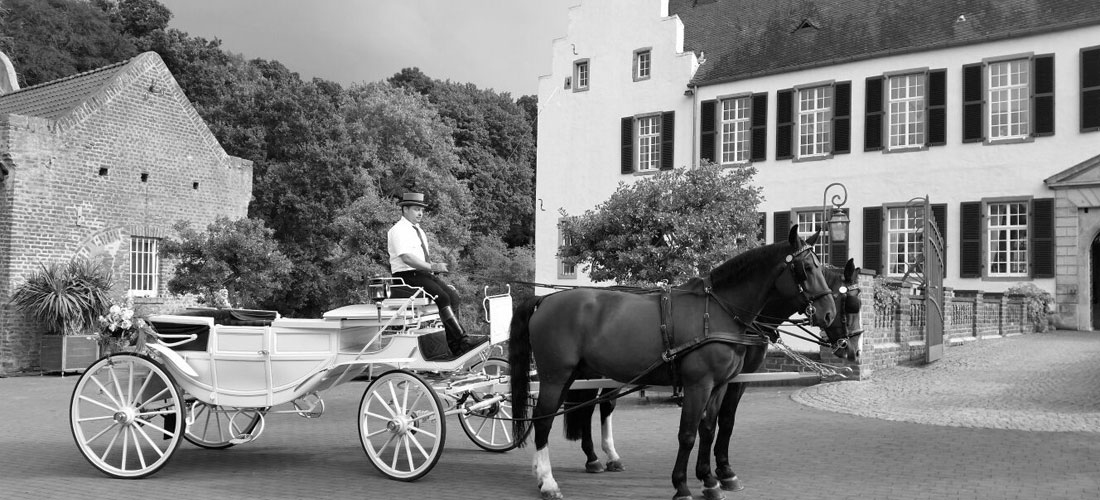 hochzeit-2